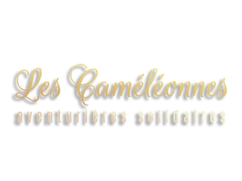 Logo Les Caméléonnes